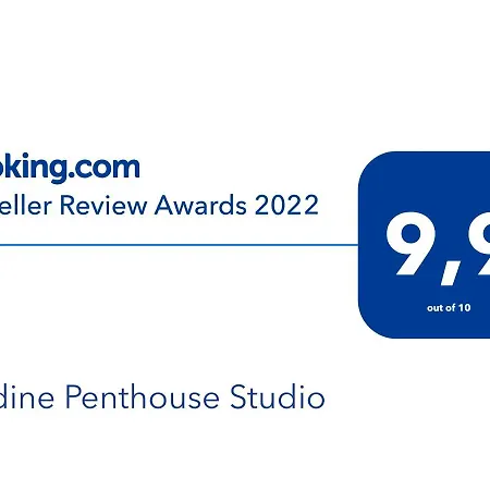 Nadine Penthouse Studio *
