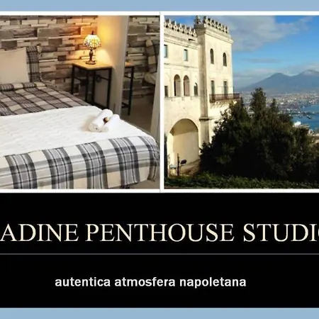 公寓 Nadine Penthouse Studio