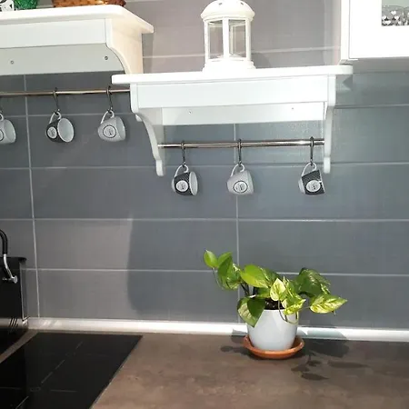 Nadine Penthouse Studio