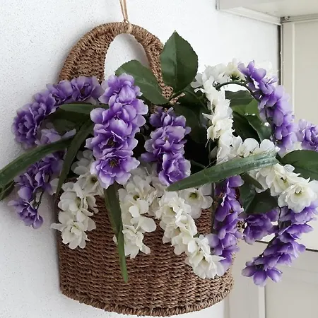 Appartement Nadine Penthouse Studio